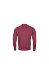Poleron Polo Hombre