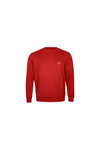 Poleron Polo Hombre